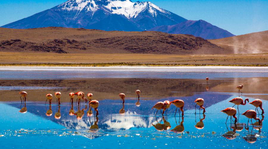 Jaké jsou nejoblíbenější volby vozidel v Uyuni?